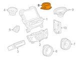 Cadillac STS Buick LaCrosse Bose Speaker New 25798962 OEM 25725738